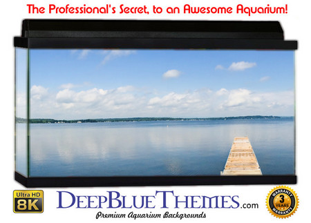 Buy Aquarium Background Dock Far Aquarium Background