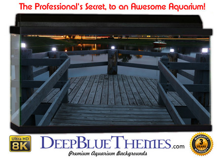 Buy Aquarium Background Dock Luxury Aquarium Background