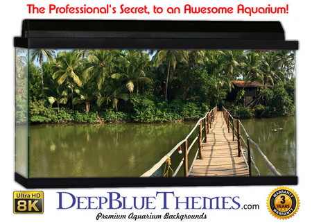 Buy Aquarium Background Dock Manmade Aquarium Background