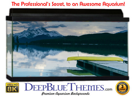 Buy Aquarium Background Dock Mountain Aquarium Background