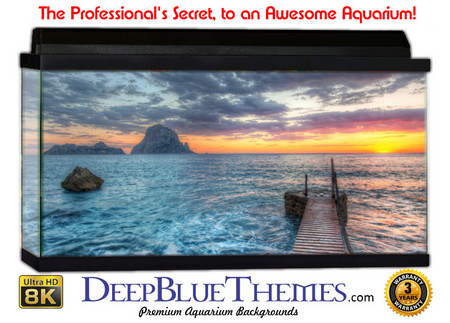 Buy Aquarium Background Dock Paint Aquarium Background