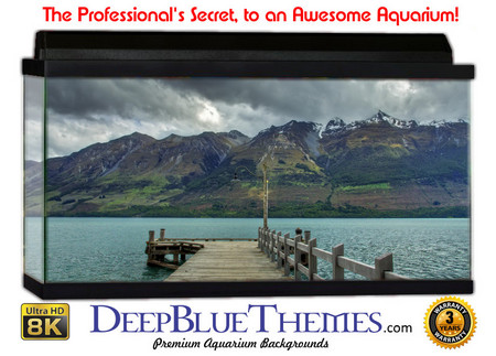 Buy Aquarium Background Dock Rail Aquarium Background