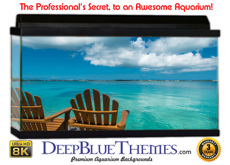 Buy Aquarium Background Dock Seating Aquarium Background