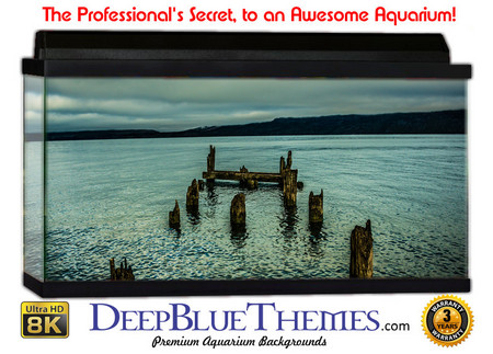 Buy Aquarium Background Dock Under Aquarium Background