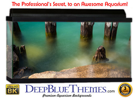 Buy Aquarium Background Dock Yesterday Aquarium Background