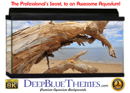 Buy Aquarium Background Driftwood 00001 Aquarium Background