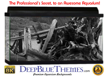 Buy Aquarium Background Driftwood 00002 Aquarium Background