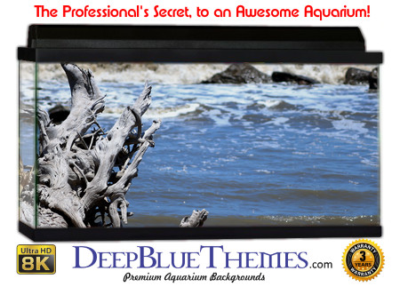 Buy Aquarium Background Driftwood 00003 Aquarium Background