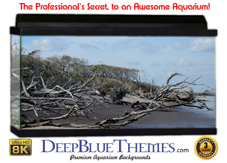 Buy Aquarium Background Driftwood 00005 Aquarium Background