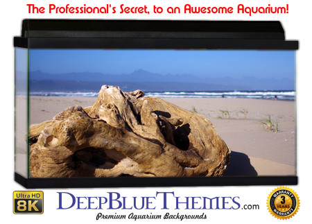 Buy Aquarium Background Driftwood 00006 Aquarium Background