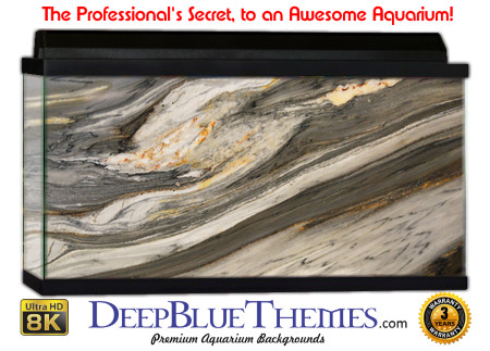 Buy Aquarium Background Driftwood 00007 Aquarium Background