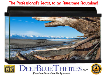 Buy Aquarium Background Driftwood 00008 Aquarium Background