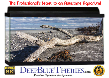 Buy Aquarium Background Driftwood 00009 Aquarium Background