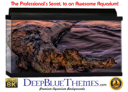 Buy Aquarium Background Driftwood 00010 Aquarium Background