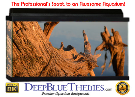Buy Aquarium Background Driftwood 00013 Aquarium Background