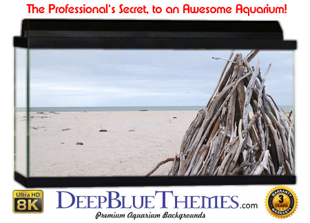 Buy Aquarium Background Driftwood 00014 Aquarium Background