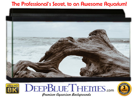 Buy Aquarium Background Driftwood 00015 Aquarium Background