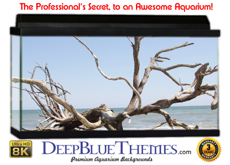 Buy Aquarium Background Driftwood 00016 Aquarium Background