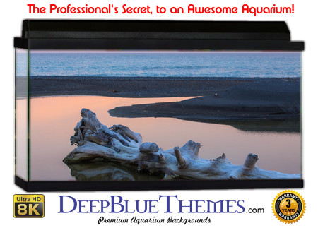Buy Aquarium Background Driftwood 00017 Aquarium Background