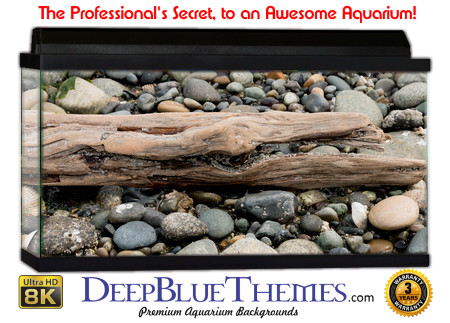 Buy Aquarium Background Driftwood 00019 Aquarium Background
