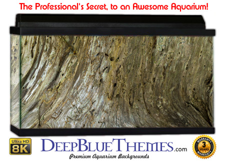 Buy Aquarium Background Driftwood 00020 Aquarium Background