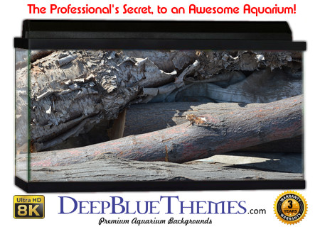 Buy Aquarium Background Driftwood 00022 Aquarium Background