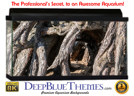 Buy Aquarium Background Driftwood 00023 Aquarium Background