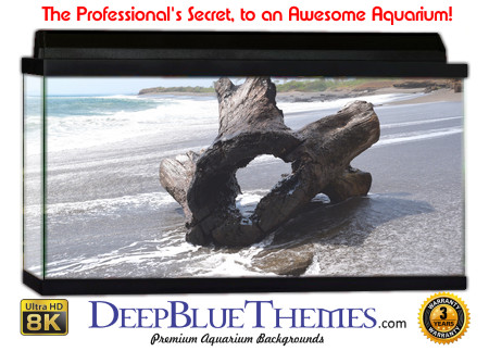 Buy Aquarium Background Driftwood 00024 Aquarium Background