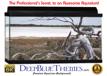 Buy Aquarium Background Driftwood 00025 Aquarium Background