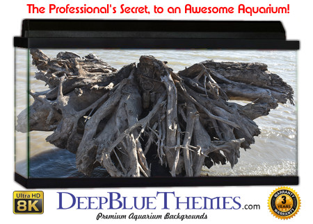 Buy Aquarium Background Driftwood 00026 Aquarium Background