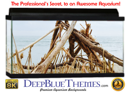 Buy Aquarium Background Driftwood 00027 Aquarium Background