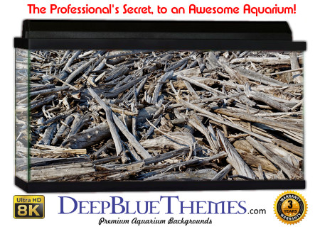 Buy Aquarium Background Driftwood 00028 Aquarium Background