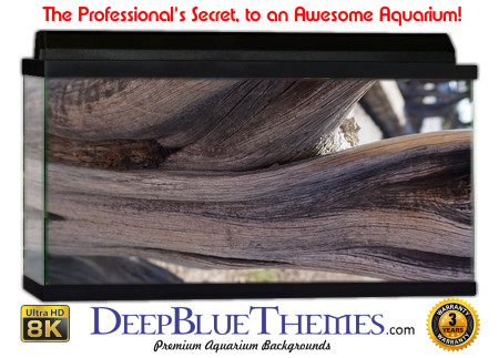 Buy Aquarium Background Driftwood 00029 Aquarium Background