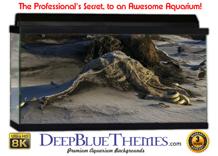 Buy Aquarium Background Driftwood 00030 Aquarium Background