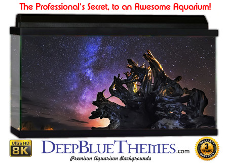 Buy Aquarium Background Driftwood 00031 Aquarium Background
