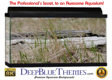 Buy Aquarium Background Driftwood 00034 Aquarium Background