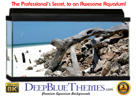 Buy Aquarium Background Driftwood 00035 Aquarium Background