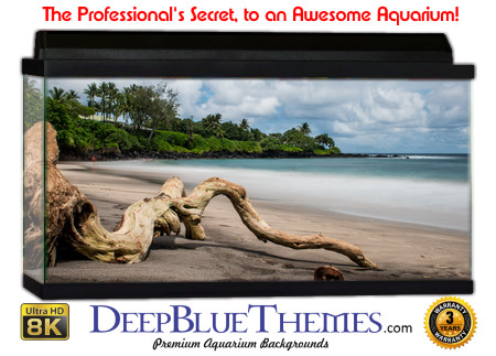 Buy Aquarium Background Driftwood 00036 Aquarium Background