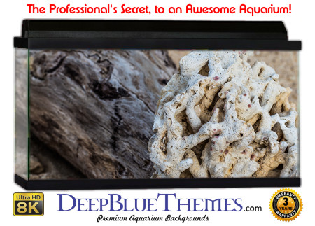 Buy Aquarium Background Driftwood 00037 Aquarium Background