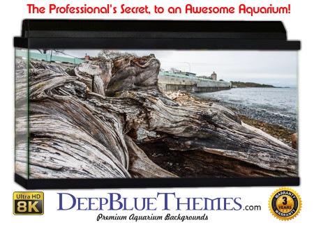 Buy Aquarium Background Driftwood 00038 Aquarium Background