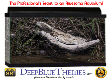 Buy Aquarium Background Driftwood 00041 Aquarium Background