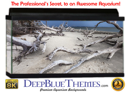 Buy Aquarium Background Driftwood 00042 Aquarium Background