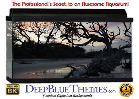 Buy Aquarium Background Driftwood 00043 Aquarium Background