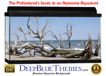 Buy Aquarium Background Driftwood 00046 Aquarium Background