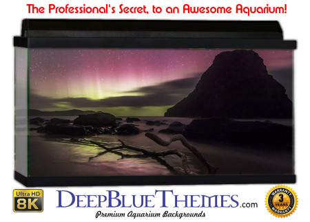 Buy Aquarium Background Driftwood 00048 Aquarium Background