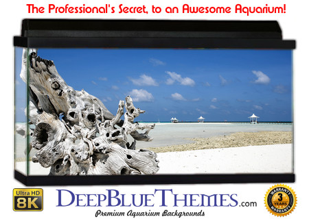 Buy Aquarium Background Driftwood 00050 Aquarium Background