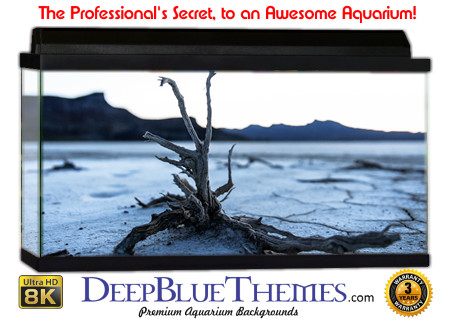 Buy Aquarium Background Driftwood 00052 Aquarium Background