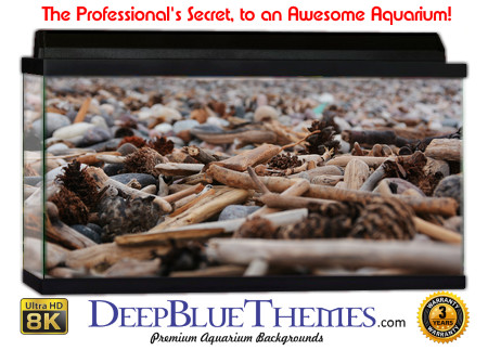 Buy Aquarium Background Driftwood 00053 Aquarium Background