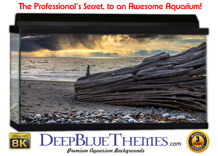 Buy Aquarium Background Driftwood 00054 Aquarium Background