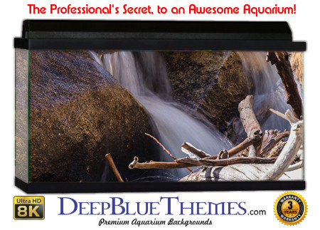 Buy Aquarium Background Driftwood 00055 Aquarium Background
